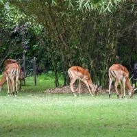 Lukenya Getaway, hotelli kohteessa Athi River