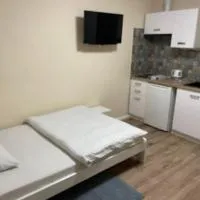 Villa Pod Orzechem w Zaniemyślu, hotel u gradu Zaniemyśl