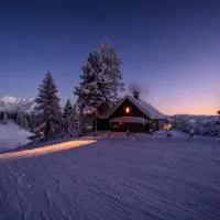 Jagdhütte Gammeringalm, hotel a Spital am Pyhrn