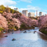 Four Seasons Hotel Tokyo at Marunouchi, hotel Tokió állomás környékén Tokióban