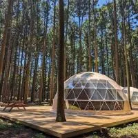 Akagi Tokiwa Forest Campsite - Vacation STAY 84739v, hotel di Shibukawa