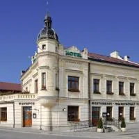 Hotel Jelínkova vila, ξενοδοχείο σε Velké Mezirici