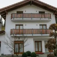 Vila Kony, hotel u gradu 'Borsa'