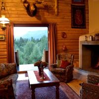 Fagerli - cabin with charm and an amazing view