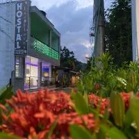 HOSTAL LAS FLORES、カプルガナのホテル
