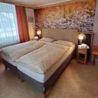B & B Gästehaus Schmidt, hotelli kohteessa Lichtenberg