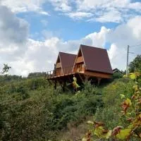 Glamping Čelig, Hotel in Donja Višnjica