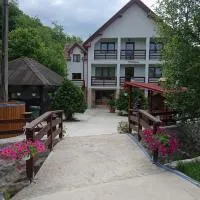 Pensiunea Valea Toplitei, hotel em Roşia