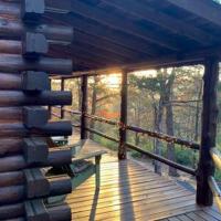 Nature's View Retreat Serenity and Splendor, hotel near M. Graham Clark - Taney County Airport - PLK, Hollister