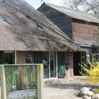 B&B de Berghoeve, hotel en Ruinen
