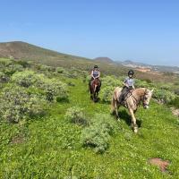 Country Home with horses in Telde, hotel i nærheden af Gran Canaria Lufthavn - LPA, Ojos de Garza