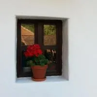 Zempléni Pitvaros Pihenő, hotel v destinaci Telkibánya