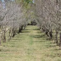 Los Almendros, hotel u gradu 'Verónica'