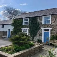 Lake Villa Holiday Cottages, hôtel à Holsworthy