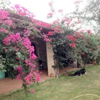 Casa Santina: Girasole'de bir otel