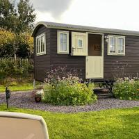 Cynefin Shepherds Hut