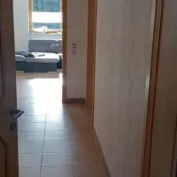 Ferienwohnung Geier, hotel in Schöfweg