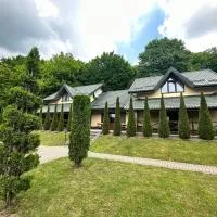 Поляна Купіль: Polyana şehrinde bir otel