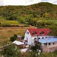 Inhauser Pincészet&Guesthouse&Restaurant – hotel w mieście Somlószőlős