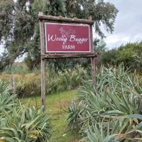 Woolly Bugger Farm – hotel w mieście Tonteldoos