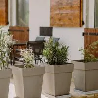 Domaine les hirondelles Carmen, hotel sa Domessin