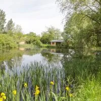 Willow, hotel en Rugby