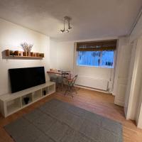 1 bed flat near Hyde Park