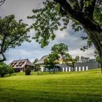 Hotel Hofgut Hohenkarpfen, hotel Hausen ob Verenában