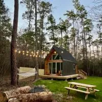 Stay in Babia - Luxury Cabins - Sam Houston National Forest, отель в городе Монтгомери