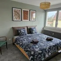Appartement Cocooning, hotel i Roeschwoog