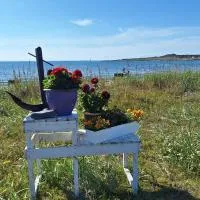 Feriehus ved Barentshavet - Holiday home by the Barents Sea: Ytre Kiberg şehrinde bir otel