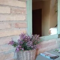 Mas del Tancat, hotel sa Amposta