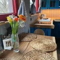 Pension U Stříbrného Jelena - Tiny House, отель в Хебе