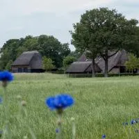 Gastenverblijf Lheederhof Lodges in monumentale boerderij, hotell sihtkohas Dwingeloo