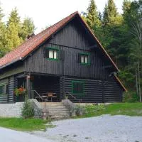Brunarica Petric - Bela krajina - Komarna vas - Smučišče Gače - Semič โรงแรมในKomarna Vas