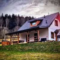 Leśna Chata domek z balią, хотел в Sękowa