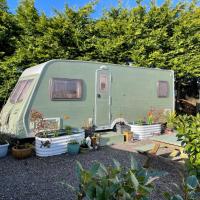 Top Pen Y Parc Farm Glamping