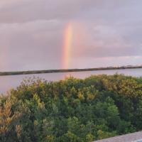 The Spot Tarpon Bay