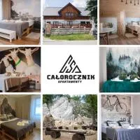 Całorocznik Skała & Apartamenty, hotel di Ryczów