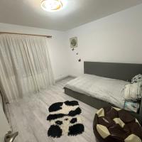 Apartament Sorin