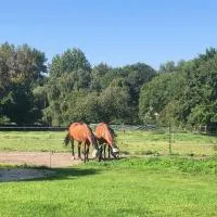 Chez Raoul - Chambres de charme & de luxe à la Campagne - 15min Charleroi Airport, מלון בניבל