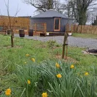 The Snowdrop, hótel í Galway
