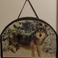Talo Kainuun korvessa Kiekinkoskella, hotel em Kuhmo