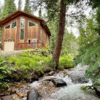 Mill Creek Cabin - Dumont, hotel in Dumont