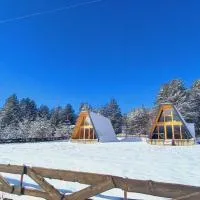Vila Isidora, отель в городе Берово