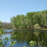 Aux abords de la forêt, hotel din Fougeré
