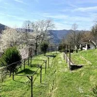 Vilijev Raj, a property with cottage in the countryside, hotell sihtkohas Avče
