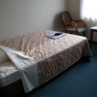 Kikai Daiichi Hotel - Vacation STAY 30408v, hotel in zona Aeroporto di Kikaiga Shima - KKX, Akaren