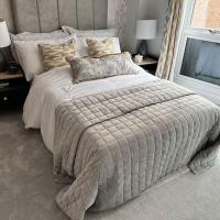 Luxurious Flat at Leicester Town，萊斯特Leicester City Centre的飯店