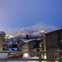 Ski in/out Appartment Hemsedal